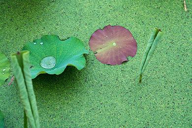 PlayStation入驻Twitter竞争对手Threads